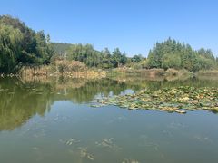 -云龙湖旅游景区