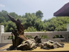 -杭州香格里拉·香宫中餐厅
