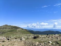 -灵山