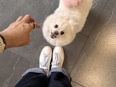 -隋唐大运河文化博物馆
