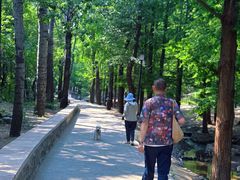 -白水寺森林公园