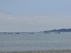 -坛南湾阿强农家乐.海鲜大排档老字号(福州地标美食店)