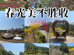 -广州白江湖森林公园