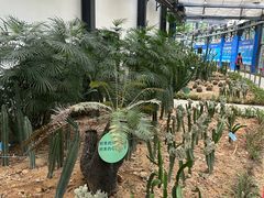-中山市树木园