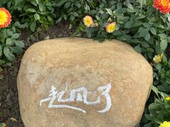 -青枫公园