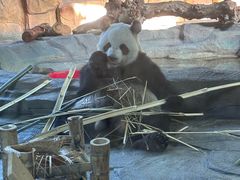 -泉州海丝野生动物世界