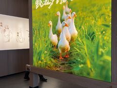 -张烤鸭·川菜·非遗冒烤鸭(青石桥店)