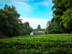 -敬亭山风景名胜区