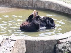 -无锡动物园·太湖欢乐园