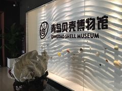 -青岛贝壳博物馆