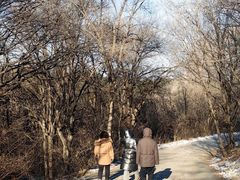 -沈阳辉山风景区