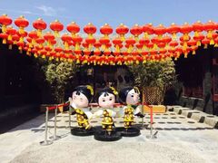 iphone_upload_pic-茯茶镇