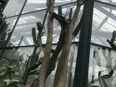 -华南国家植物园-售票处