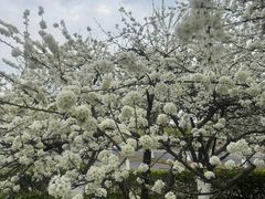 -万达茂商场(南京仙林店)