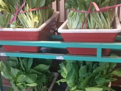 -天和晟烤鸭店(玉泉西街店)