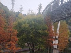 -福道