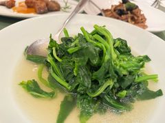 -老吉堂上海本帮菜(望京万象汇店)