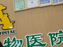 -半岛宠物医院24小时·内窥镜·牙科·碎石中心(府城大道店)