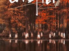 -重庆彩云湖湿地公园