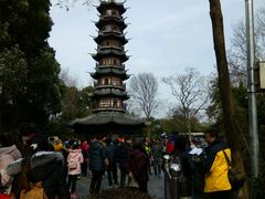 -上海佘山国家森林公园西佘山园