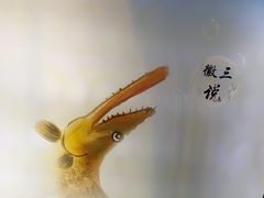 -徽三说·土徽菜·中国徽菜连锁品牌(一中店)