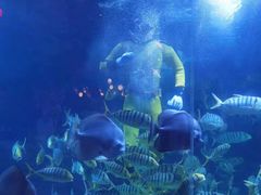 -烟台海昌鲸鲨海洋公园