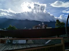 -喵屿·大理花园猫咖