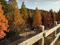 -神户市立六甲山牧场