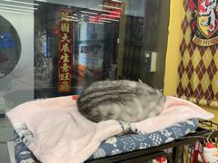 -谜盒子奇幻密室(南屏店)