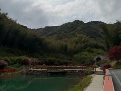 -午潮山国家森林公园