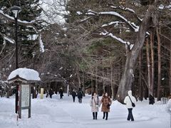 -北海道神宫