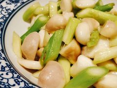 芦笋鲜菱-兰边碗(鼓楼店)