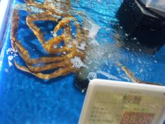 -哈尔信阳光农园超市(沈阳三台子万象汇店)