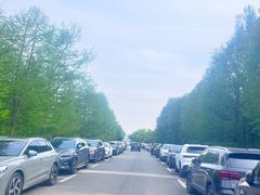 -广富林郊野公园