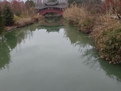 -三垟湿地