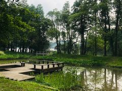 -东湖落雁景区