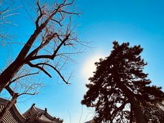 -潭柘寺景区
