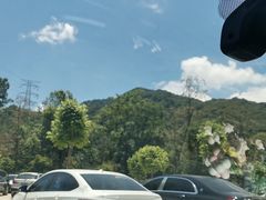 -龙岩森林水乡景区