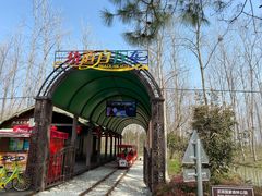 -合肥滨湖国家森林公园