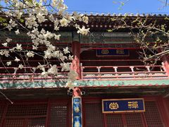 -潭柘寺景区