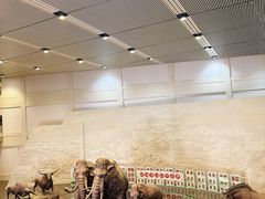 -大庆市博物馆