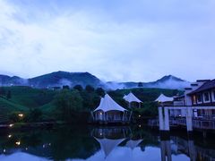 -帐篷客·溪龙茶谷度假酒店