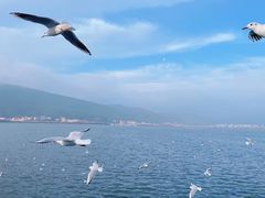 -海埂大坝