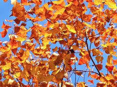 -东钱湖旅游度假区