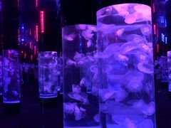 -成都浩海立方海洋公园