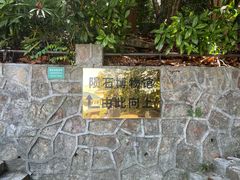-紫金山天文台