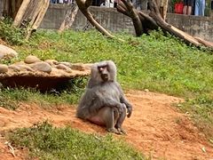 -云南野生动物园