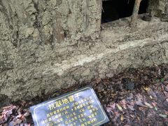 -五女峰国家森林公园