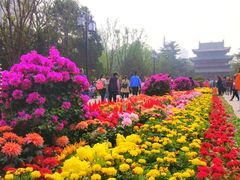 -迎泽公园