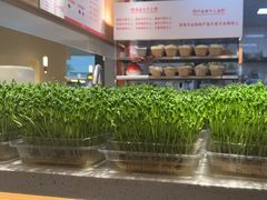 -好彩猪肚鸡(正弘城店)